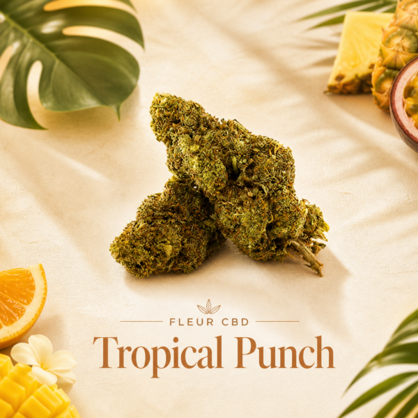 Fleur Tropical Punch CBD