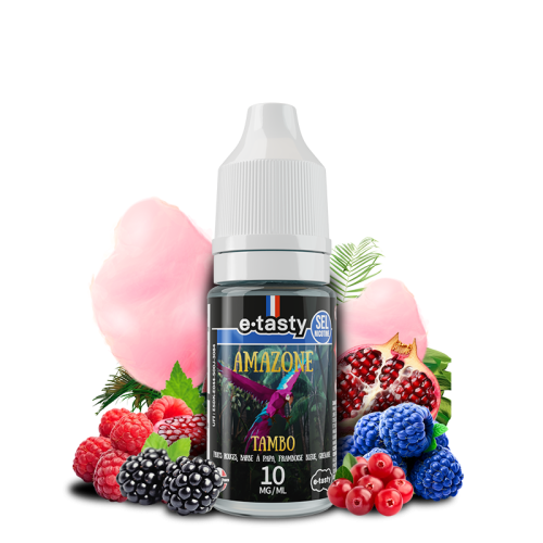 tambo-10-ml-sdn